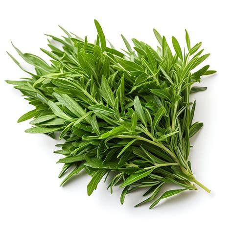 Premium Ai Image Variety Of Nature Tarragon Leaves Type Of Herb