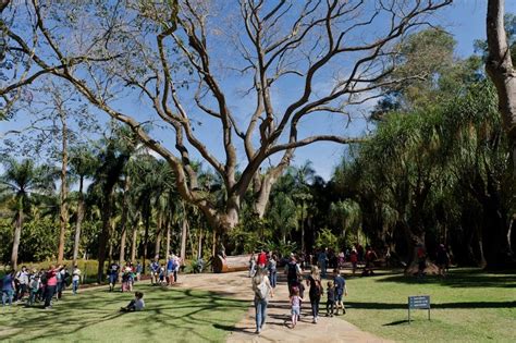 Inhotim O Que Fazer E Onde Fica O Museu E Jardim Nico De Mg