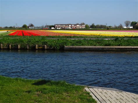 Lisse 2020: Best of Lisse, The Netherlands Tourism - Tripadvisor