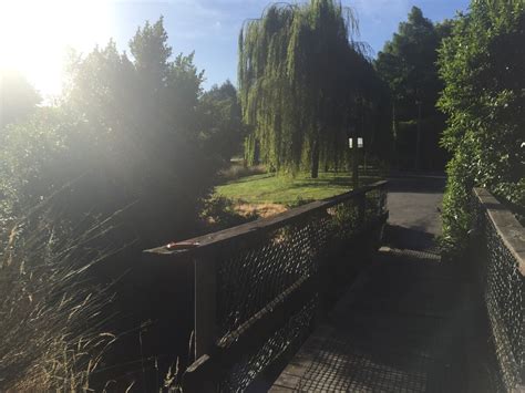 Bridge In Jellie Park Discoverywallnz