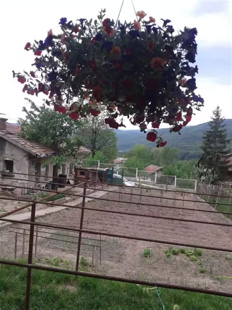 Къща в с. Мухово с. Мухово, Област София - Pazarluk.com