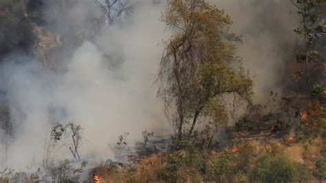 Alerta Temprana Preventiva para cuatro provincias de la región de