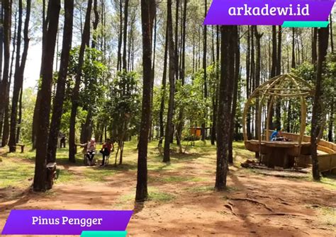 Pinus Pengger Harga Tiket Masuk Rute Menuju Lokasi