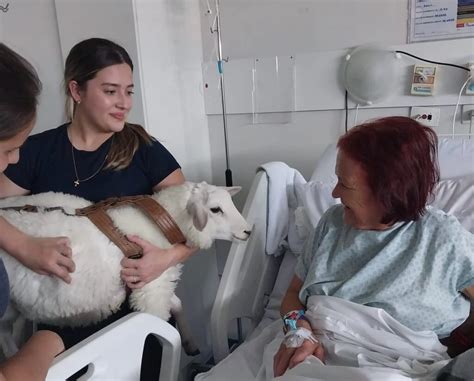 Pacientes de Hospital em Curitiba são surpreendidos por visita