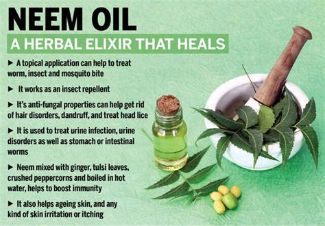 5 Benefits Of Using Neem Oil For Hair Femina Health 1