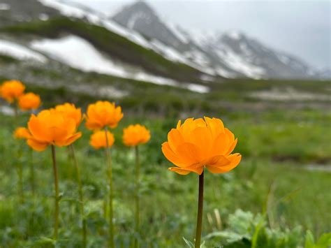 Best Time To Visit Mongolia | Weather, Festivals, Activities & More