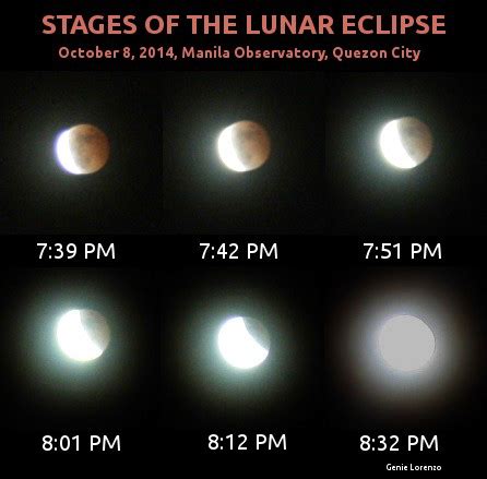 Total Lunar Eclipse Stages