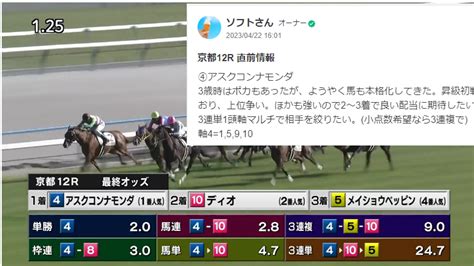 天皇賞春 2023 出走馬全頭分析 ソフトさんの競馬ヨソー！予想動画ブログ