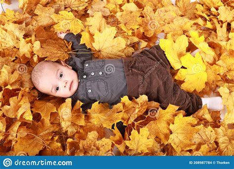 Niño Sorprendido Tendido En Hojas Foto de archivo Imagen de bebé