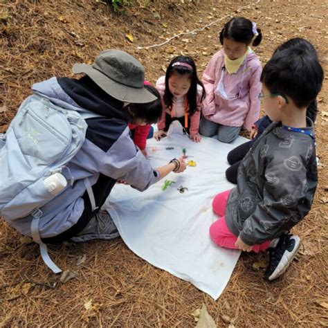 포천 하늘아래치유의 숲 체험 자연놀이 뉴스아이신문