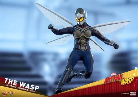 Hot Toys Th Scale The Wasp Collectible Figure Ant Man And The Wasp Rio X Teir