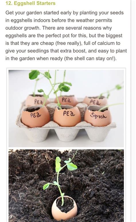 20 Insanely Clever Gardening Tips And Ideas Artofit