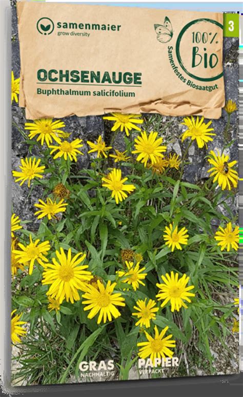 Samen Maier Bio Wildblume Ochsenauge 1 Packung Bloomling Österreich