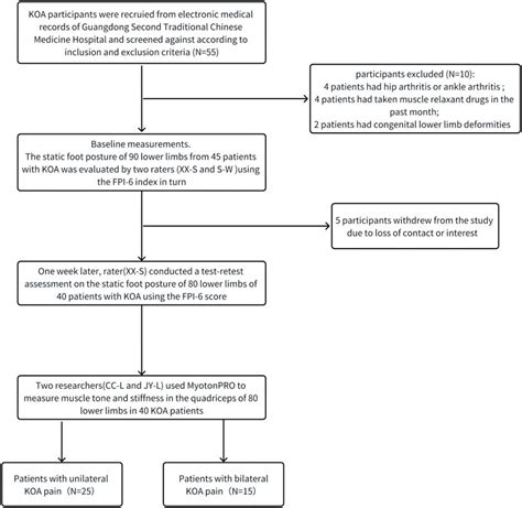 Frontiers Inter Rater Reliability And Test Retest Reliability Of The