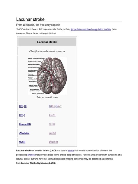 Lacunar stroke.docx | Vascular Diseases | Angiology