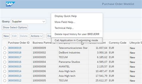 Web Dynpro Abap New Customizing Ui With Ui Guideline Fiori Erp Q A