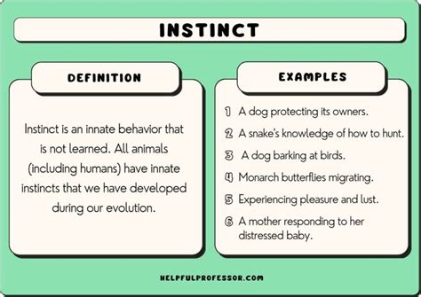 31 Instinct Examples (In Humans and Animals) (2024)