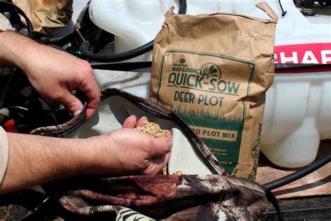 Cool Season Food Plot Planting Tips Mossy Oak Gamekeeper