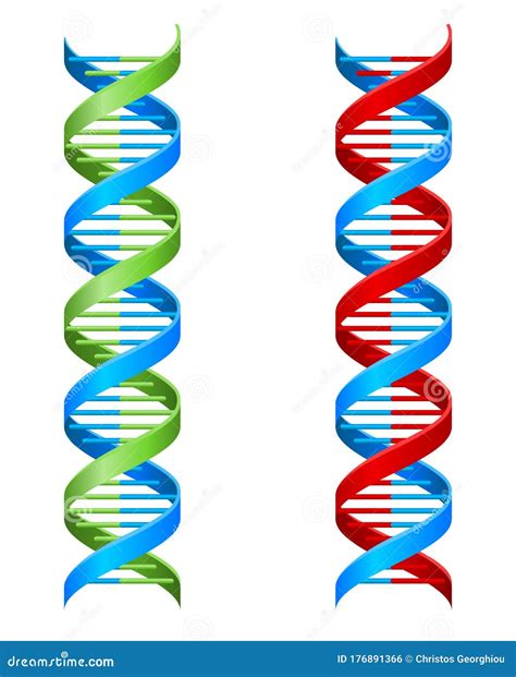 Ilustração Da Molécula De Hélice Dupla Do Dna Ilustração do Vetor