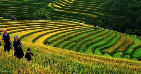 2D3N Sapa Trekking Tour via Overnight Train from Hanoi - Klook