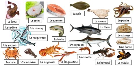 et leurs produits Le Français à travers la gastronomie