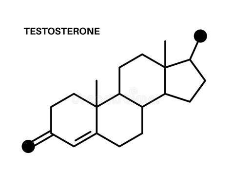 Testosterone Chemical Formula Stock Vector Illustration Of