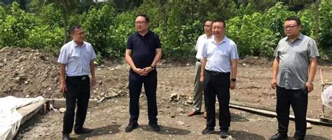 大南峪镇：本周工作动态（一百零二）管理培训整治