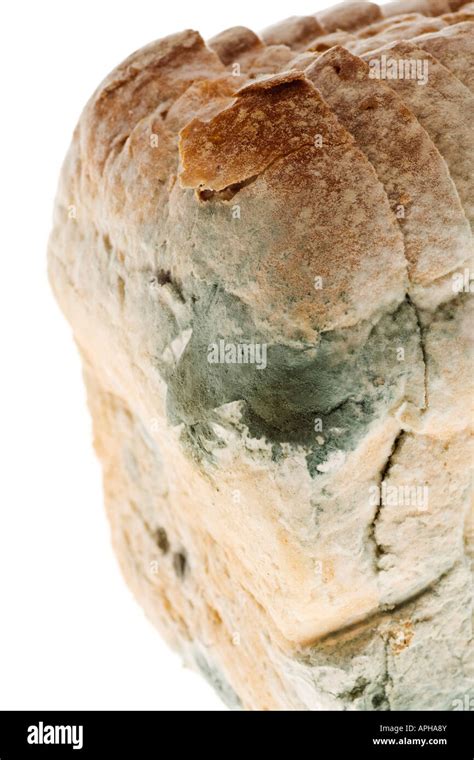 Mouldy bread Stock Photo - Alamy