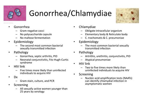 Gonorrhea Symptoms Vs Chlamydia Sakidelight