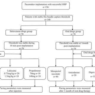 Flow Chart Of Patients And Route Of Administration Of Rhythm And