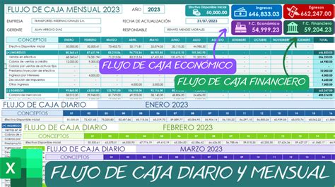 Flujo De Caja En Excel Para La Empresa Diario Y Mensual Ludus