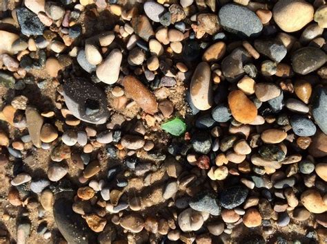 Collectible Rocks Of Southwest Lake Michigan Beaches