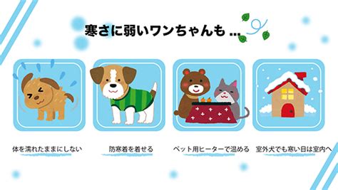 【獣医監修】犬も風邪をひくの？症状と原因、予防法、受診の目安を徹底解説！│楽天保険の総合窓口