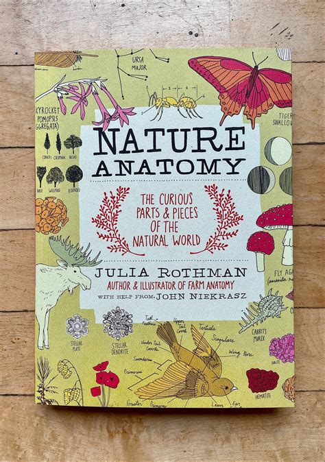 Nature Anatomy Book By Julia Rothman Worn Path