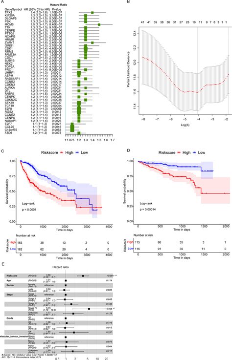 The Construction Of Predictive Risk Score For Hcc A Hcc Prognostic Download Scientific Diagram