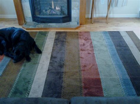 Mohawk Home Area Rug Review | Emily Reviews