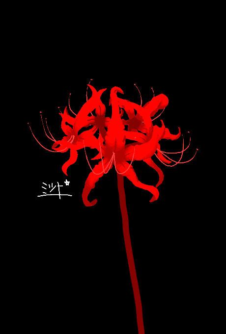 Lycoris Radiata Or Higanbana By Mitsukiharune On Deviantart