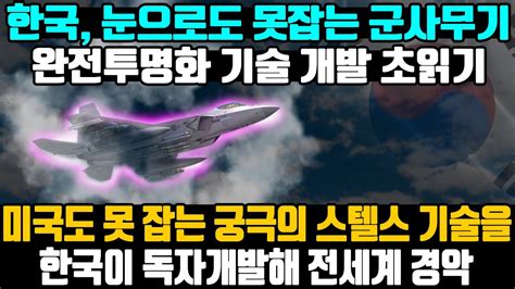 한국 눈으로도 못잡는 군사무기완전투명화 기술 개발 초읽기 미국도 못 잡는 궁극의 스텔스 기술을한국이 독자개발해 전세계 경악