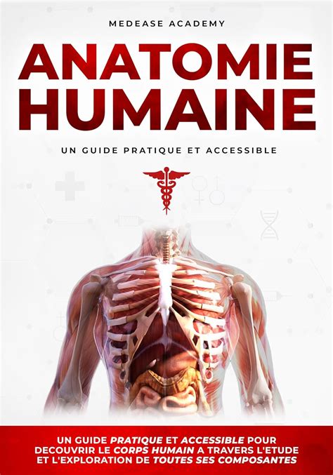 Anatomie Humaine Un Guide Pratique Et Accessible Pour D Couvrir Le