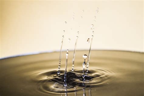 Spring water vs. Distilled water vs. RO water vs. Alkaline water. 