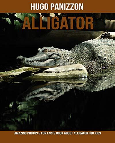 Alligator: Amazing Photos & Fun Facts Book about Alligator for Kids by ...