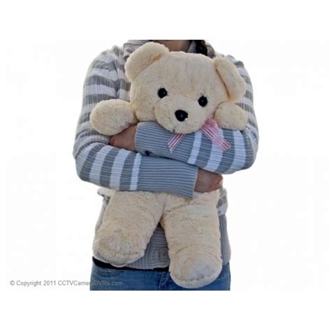 Hidden Teddy Bear Camera Dvr Nanny Cam With Motion Detection