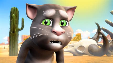 Talking Tom Wallpapers Top Free Talking Tom Backgrounds Wallpaperaccess