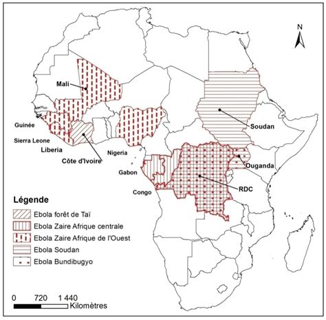 L Pid Mie Debola En Afrique De Louest