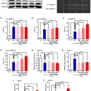 Mmp Expression And Activity In Cirrhotic Livers From Mice Treated With