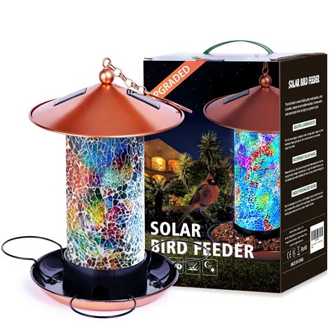 10 Best Unique Bluejay Bird Feeders For Your Garden Hummingbirds Plus