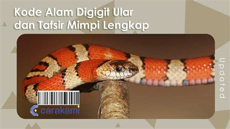 20 Kode Alam Digigit Ular Dan Tafsir Mimpi Lengkap