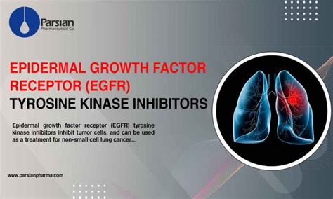 Epidermal Growth Factor Receptor Egfr Tyrosine Kinase Inhibitors