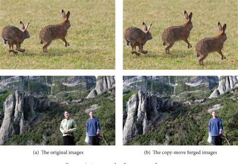 Figure From Copy Move Forgery Detection Technique For Forensic