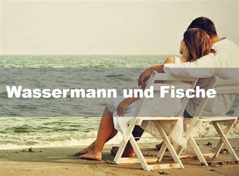 Wassermann Und Fische Partnerschaft Freundschaft